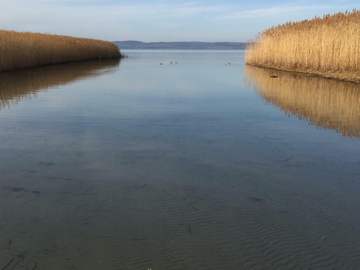 Tamás Apartman Balatonföldvár szívében- egész évben nyitva! Balatonfoldvar Exterior foto