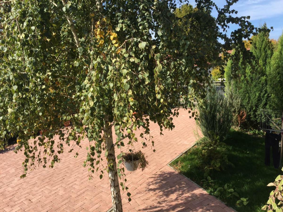 Tamás Apartman Balatonföldvár szívében- egész évben nyitva! Balatonfoldvar Exterior foto